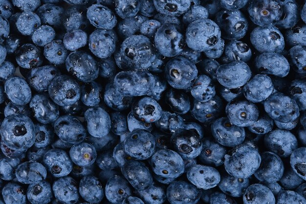 Fresh blueberry background