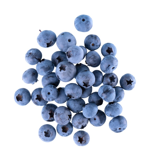 Fresh blueberry isolated on white background Bilberry or whortleberry Clipping path Top view