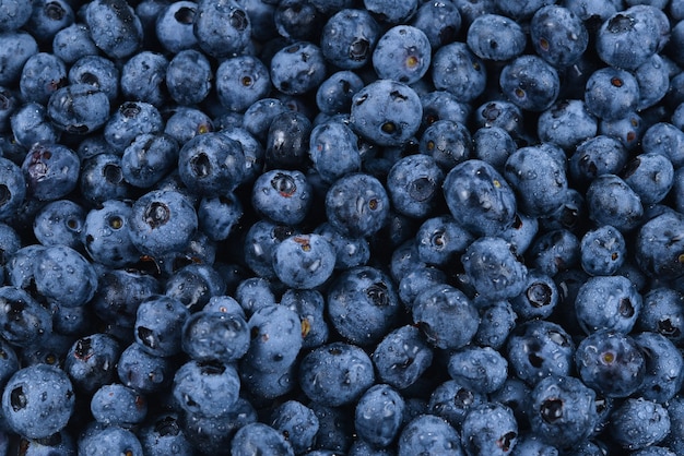 Fresh blueberry surface