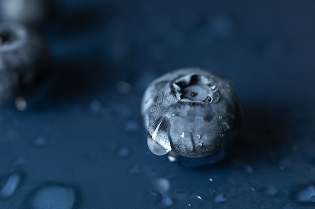 Fresh blueberry with a drop of wateron on a dark blue background. Macro. Selective focus