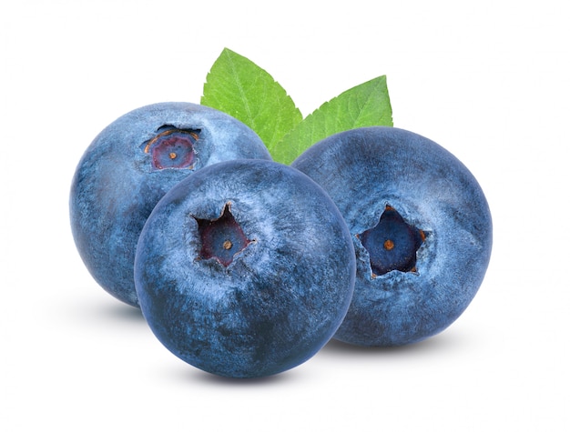 Fresh blueberry with leaves on white wall 