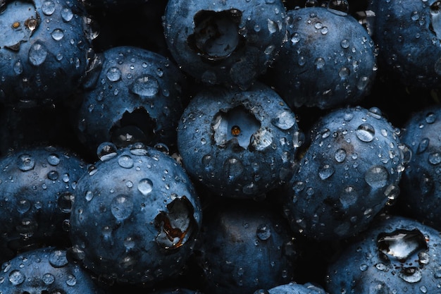 Fresh blueberry with water drops