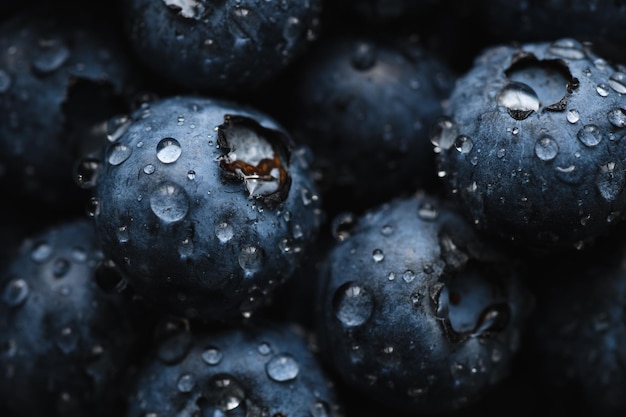 Fresh blueberry with water drops