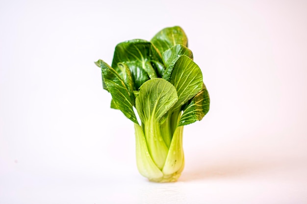 fresh bok choy on white background