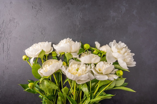 Fresh bouquet of white peonies on a dark graphite