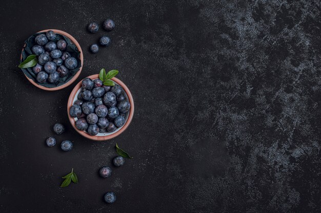 Fresh bowls of blueberries copy space