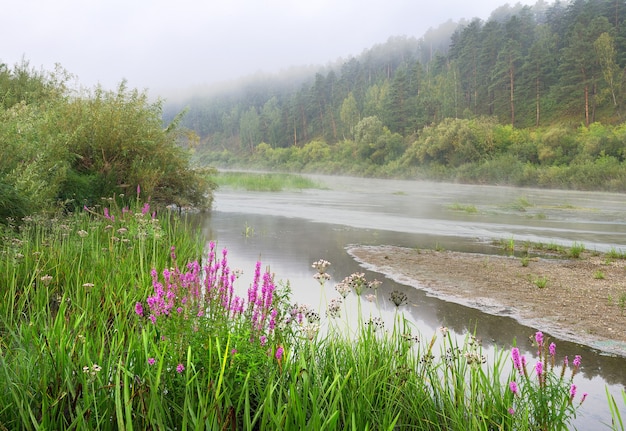 Fresh bright green dense grass and wildflowers on the slope of the Bank