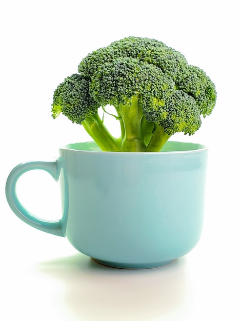 Fresh broccoli in a ceramic mug