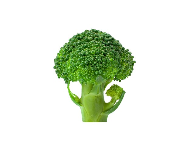 Fresh broccoli in closeup isolated on white background