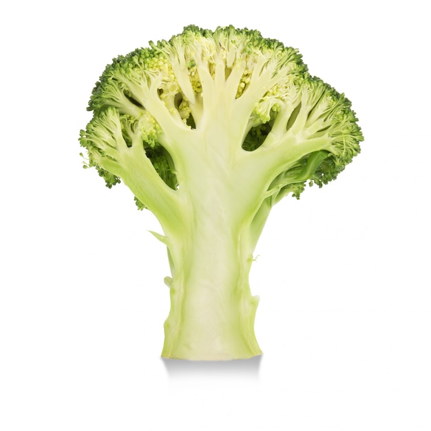 Fresh broccoli isolated on white background