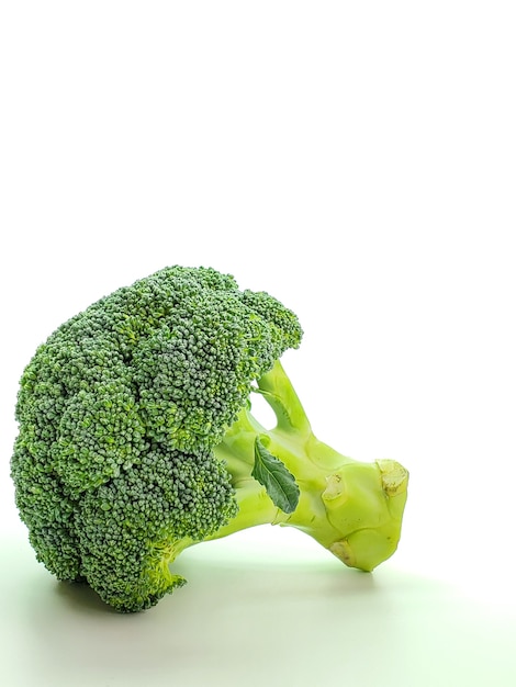 Fresh broccoli isolated on white