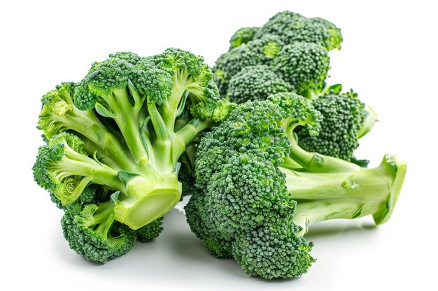 Fresh Broccoli Set