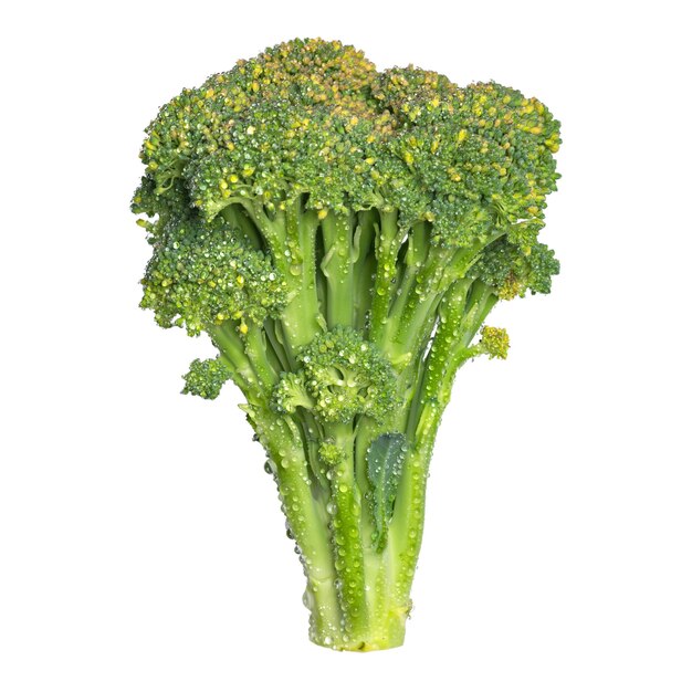 Fresh broccoli with water drops isolated on black background