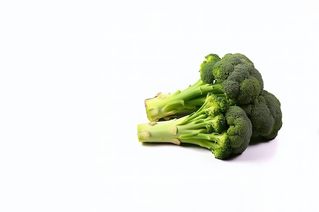 Fresh broccolis isolated on white background with copy space