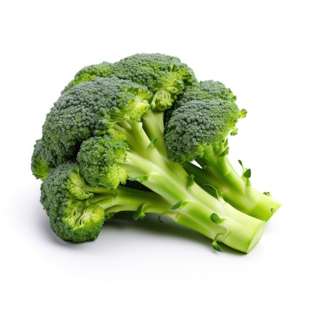 Fresh brocolli isolated Illustration AI GenerativexA