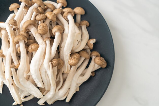 Fresh brown beech mushroom or black reishi mushroom on plate