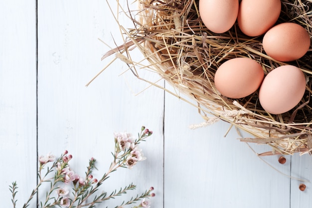 Fresh brown eggs in basket and branch of flowers on pastel blue wooden background