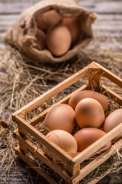 Fresh brown eggs