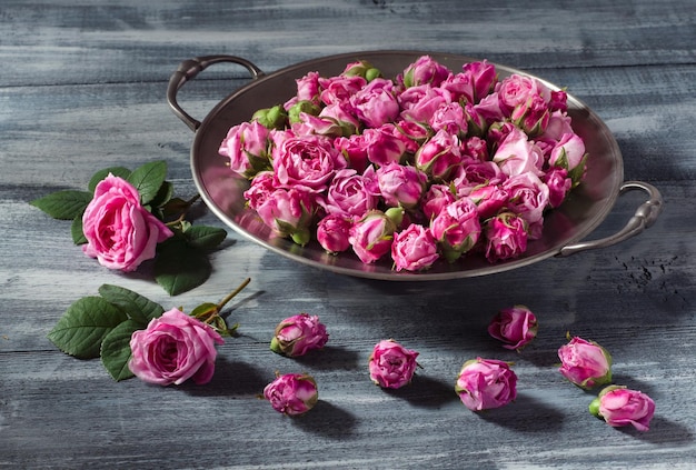 Fresh buds of tea roses