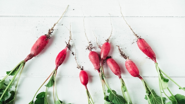 Fresh bunch of radishes on a white wooden background