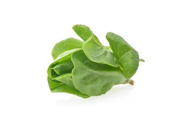 Fresh butterhead isolated on white background