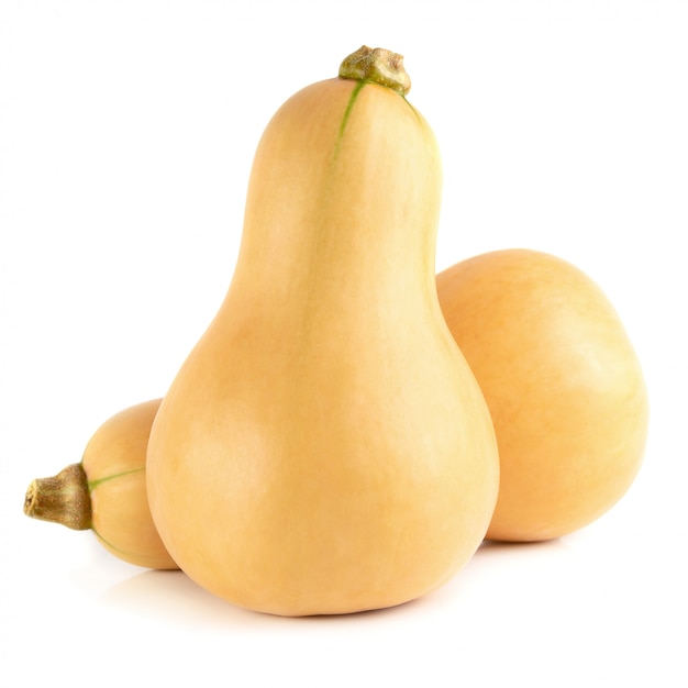 Fresh butternut isolated over a white background