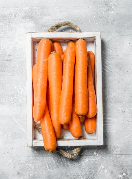 Fresh carrot on the tray