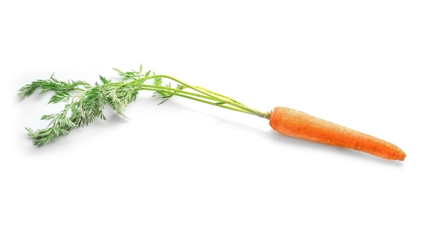 Fresh carrot with leaves isolated on white