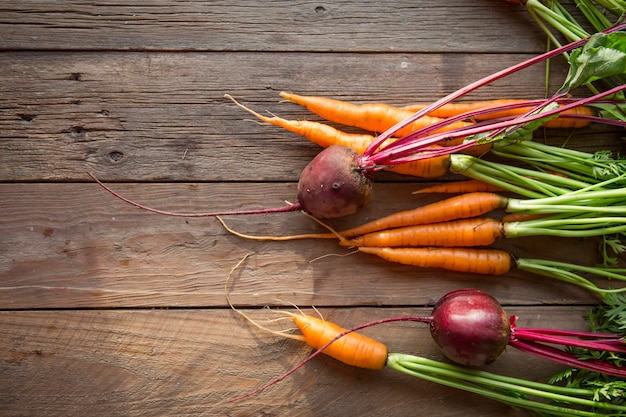 Fresh carrots, beetroot heap with green stems