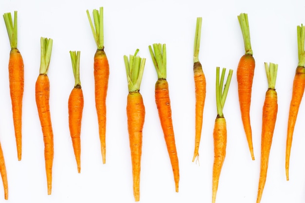 Fresh carrots on white background