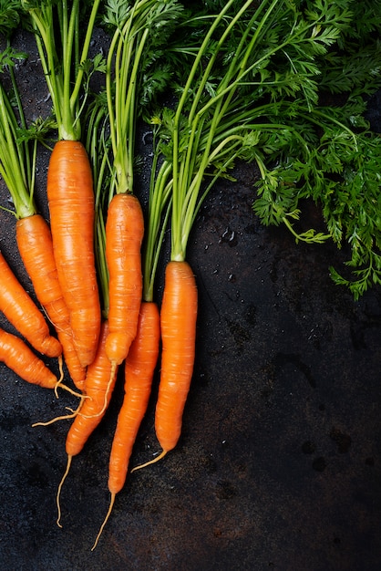 Fresh carrots with green leaves