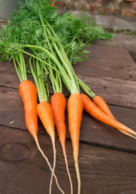 Fresh carrots with leaves on rustic wooden background Selective focus