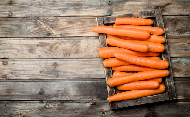 Fresh carrots on a wooden tray