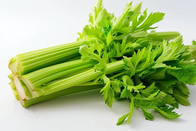 Fresh celery isolated on white background ingredient for cooking healthy food