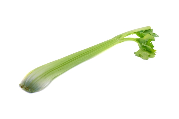 Fresh celery isolated on white background