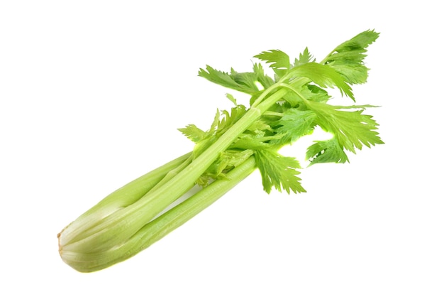 Fresh celery isolated on white background