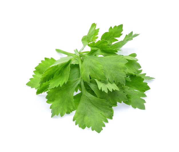 Fresh Celery isolated on white