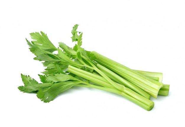 Fresh celery isolated