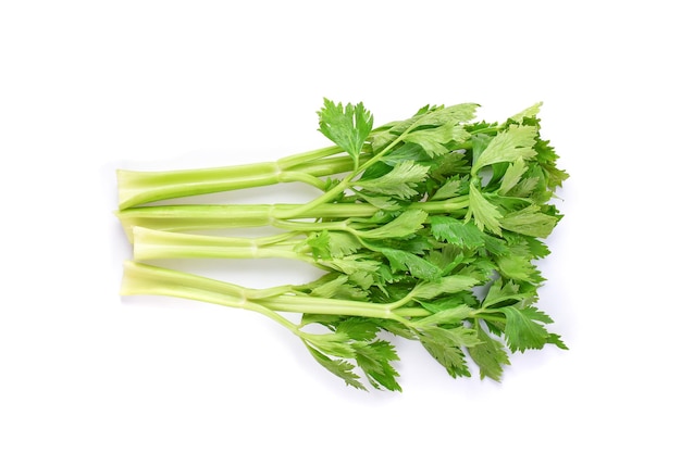 Fresh celery on white background