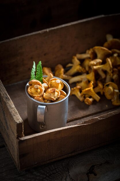 Fresh chanterelles in an old wooden box