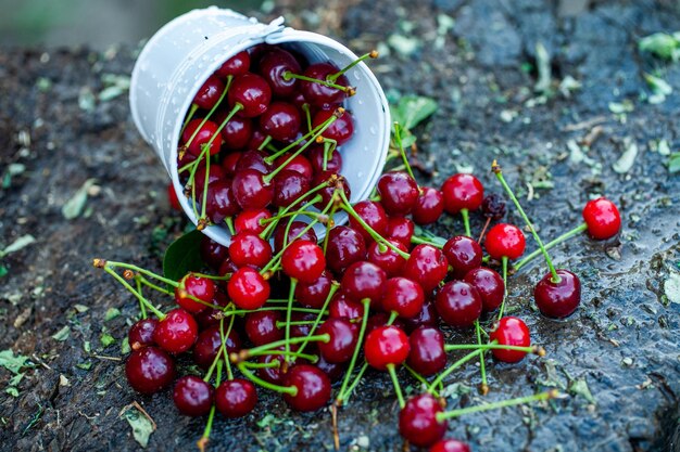 Fresh cherries in bowl