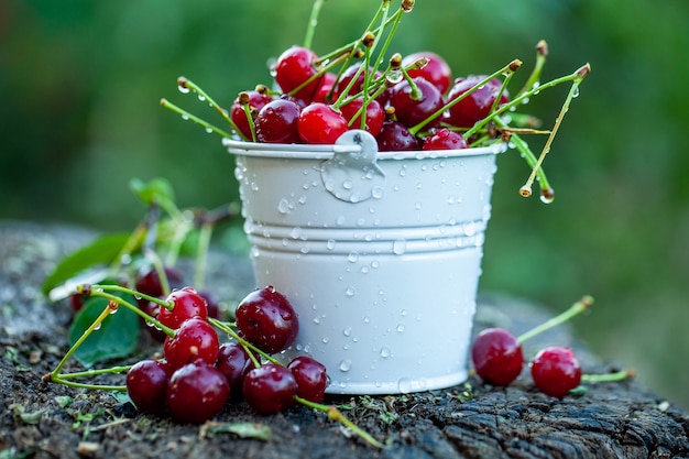 fresh cherries ready to eat