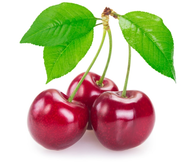 Fresh cherry isolated on white background closeup