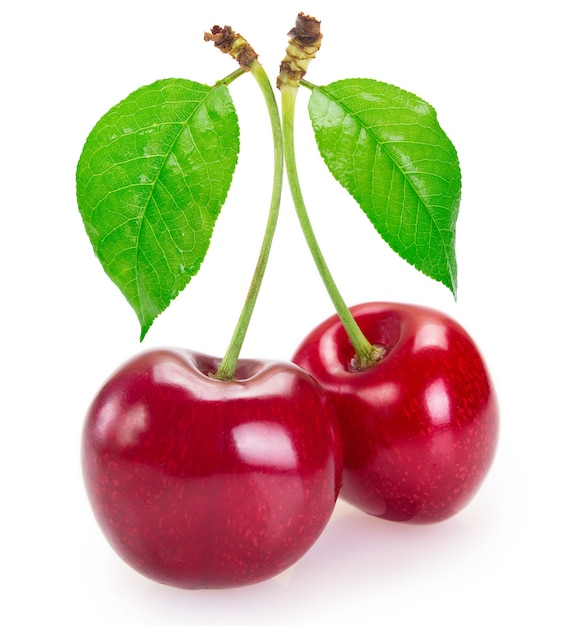 Fresh cherry isolated on white background closeup