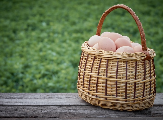 Fresh chicken eggs.