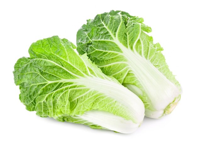 Fresh chinese cabbage on a white background