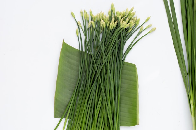 Fresh Chinese Chive leaves with flower on white background