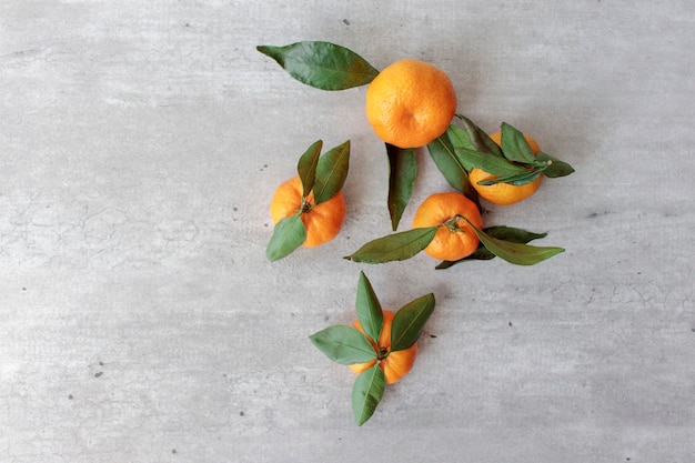 Fresh citrus fruits with leaves: lemons, oranges, mandarins in wooden box