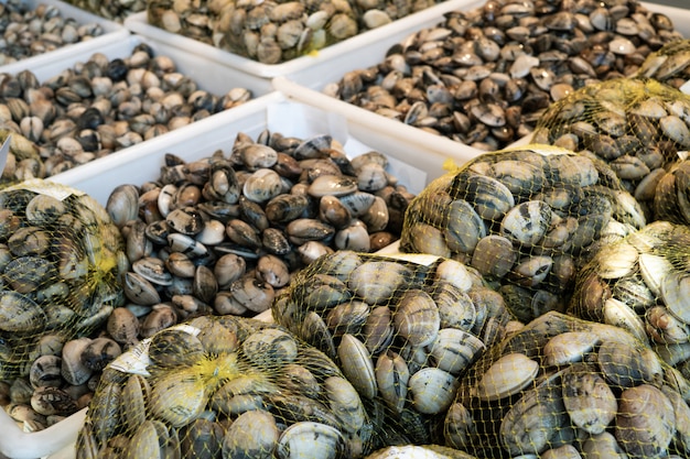 Fresh clams on crates for sale