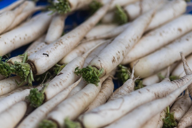 Fresh clean white radish tubers, soft selective focus. Background with turnip